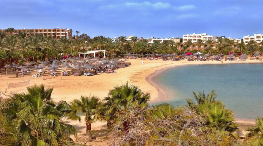 Le migliori offerte di noleggio auto a Marsa Alam